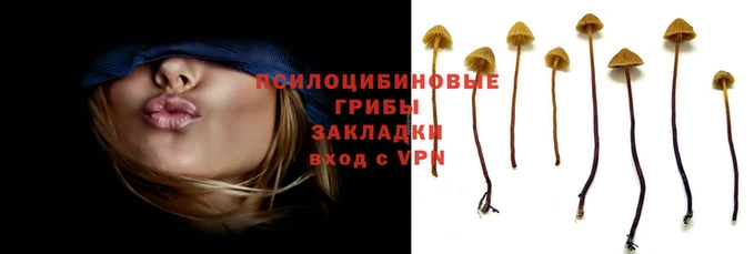 метамфетамин Аркадак